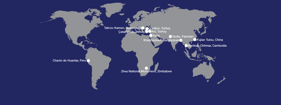 2010 Fellows - 